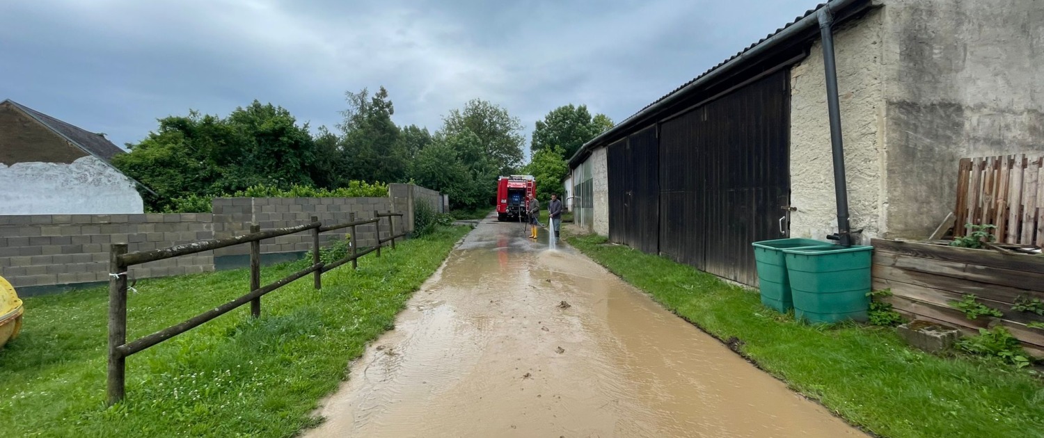 T1 – Straßenreinigung am 04.06.2024