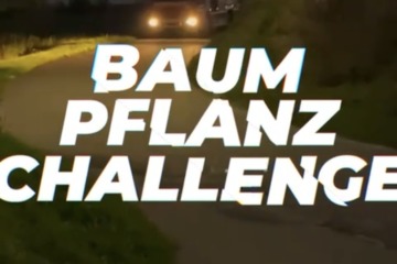 Baumpflanzchallenge 2025